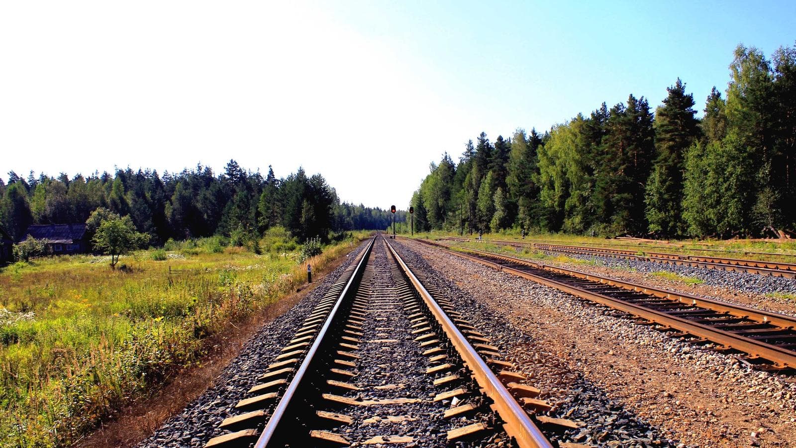 Why Your Startup Needs a Design System (Sooner Than You Think)